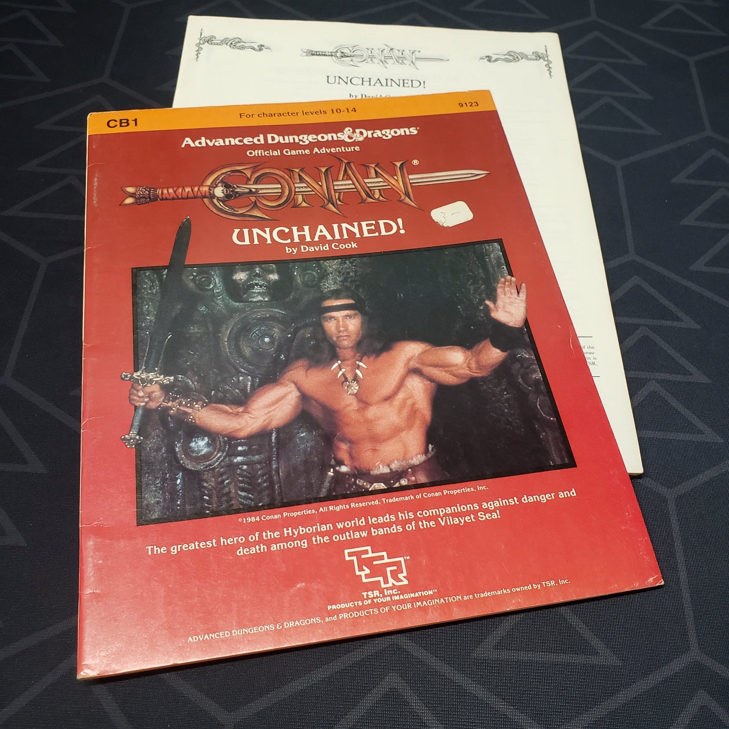 Image shows the front cover of the folio for theConan Unchained! adventure module for the roleplaying game Advanced Dungeons & Dragons: First Edition, with the booklet fanned out