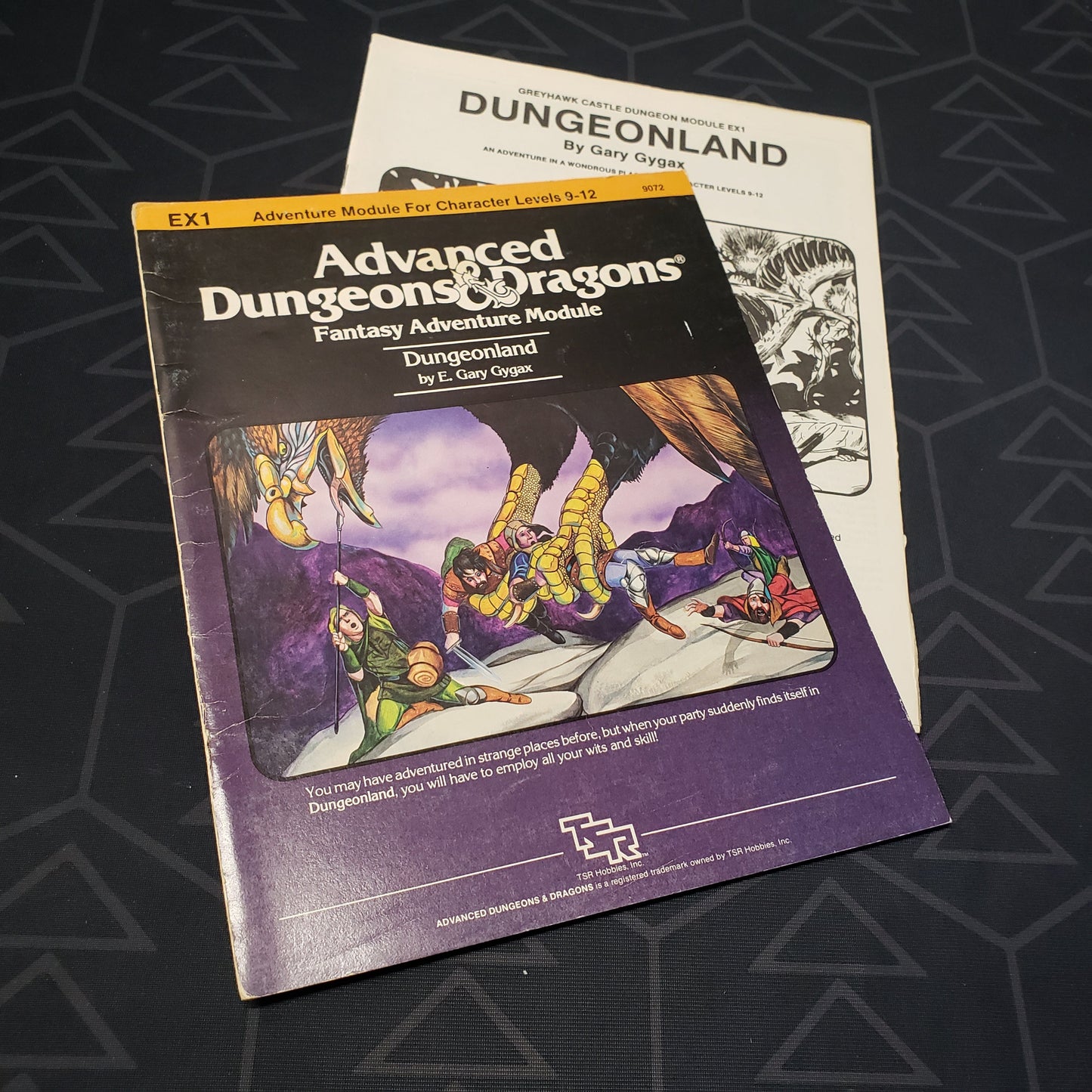 Image shows the front cover of the folio for the Dungeonland adventure module for the roleplaying game Advanced Dungeons & Dragons 1E with the booklet fanned out