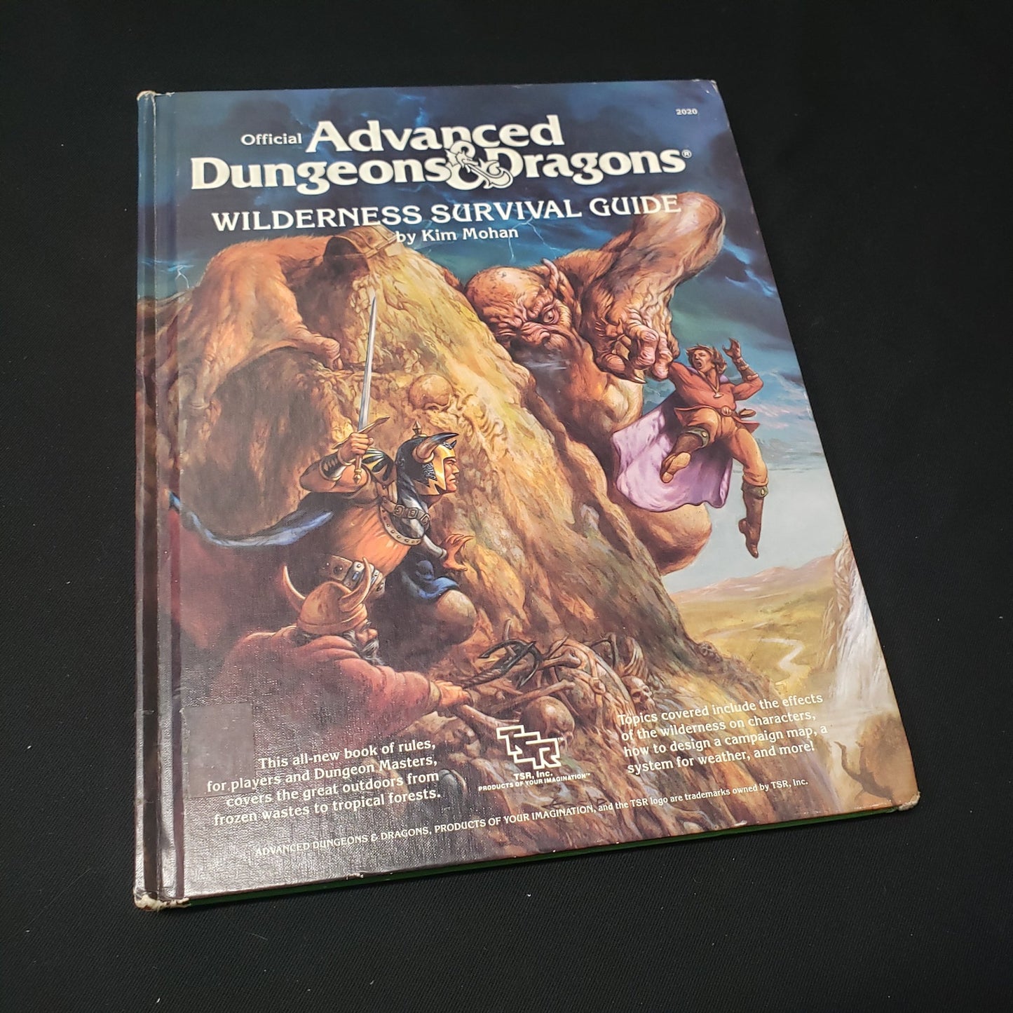 Image shows the front cover of the Wilderness Survival Guide book for the roleplaying game Advanced Dungeons & Dragons: First Edition