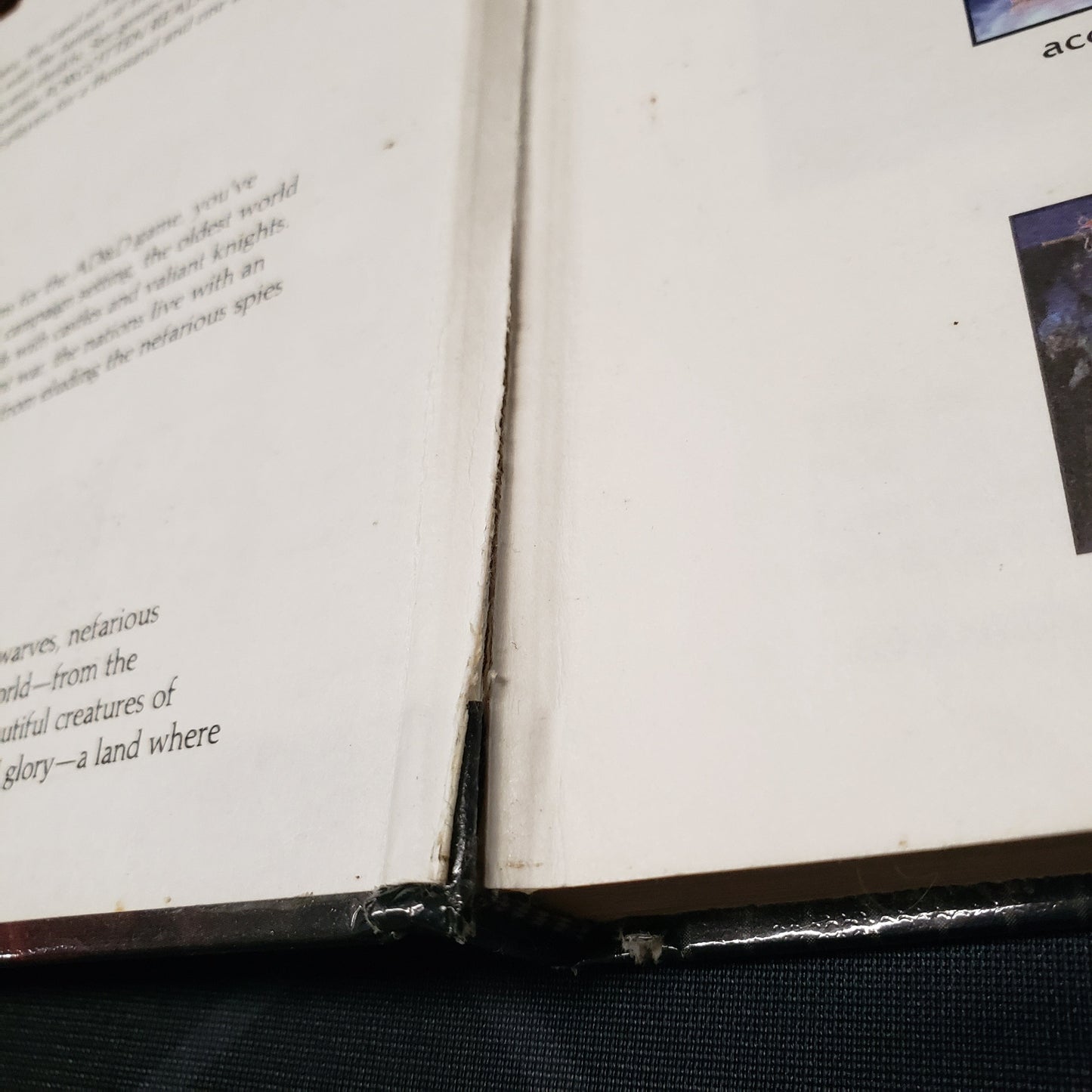 Image shows a tear along the inside spine of the Player's Handbook for the roleplaying game Advanced Dungeons & Dragons: Second Edition