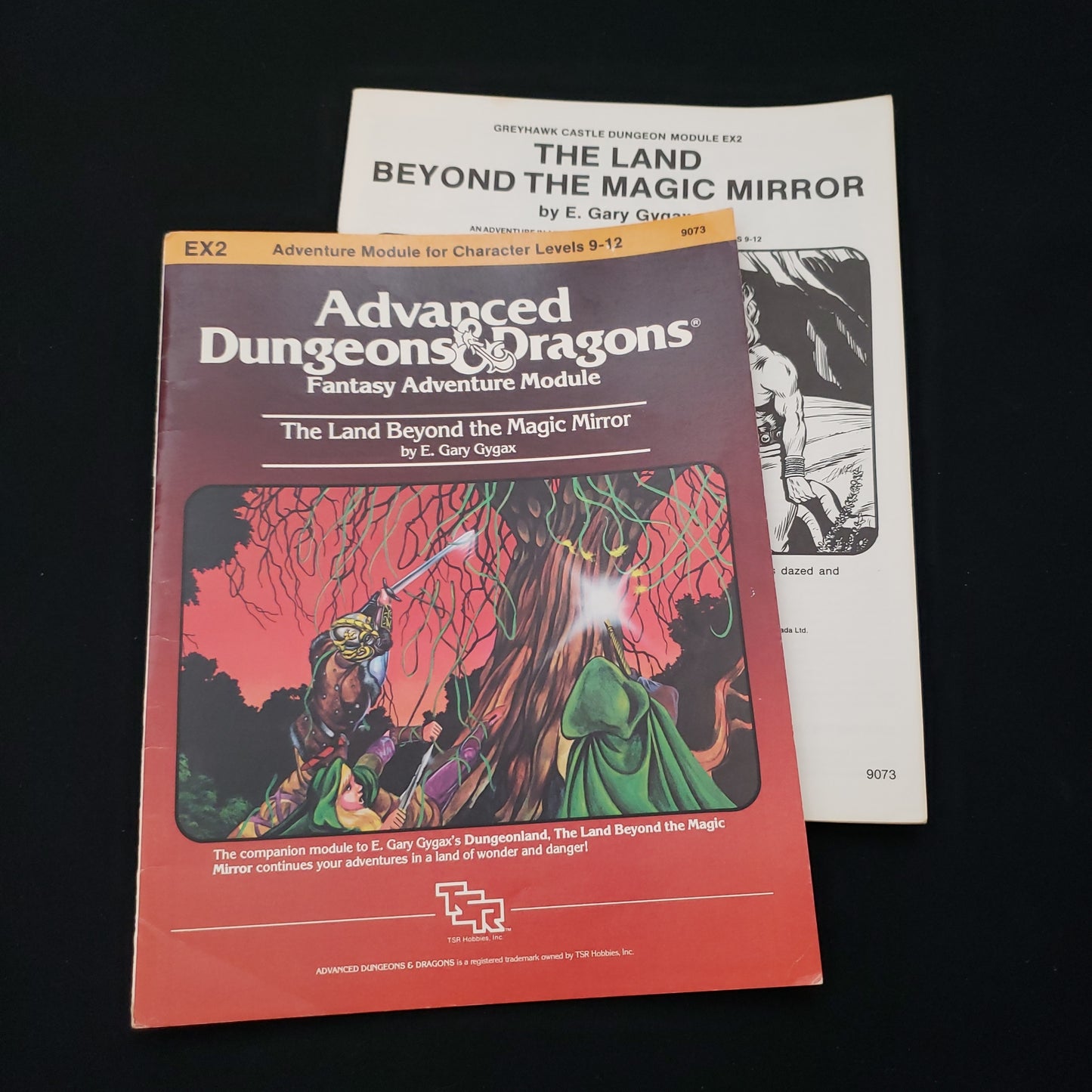 Image shows the front cover of the Land Beyond the Magic Mirror book for the Advanced Dungeons & Dragon 2E roleplaying game