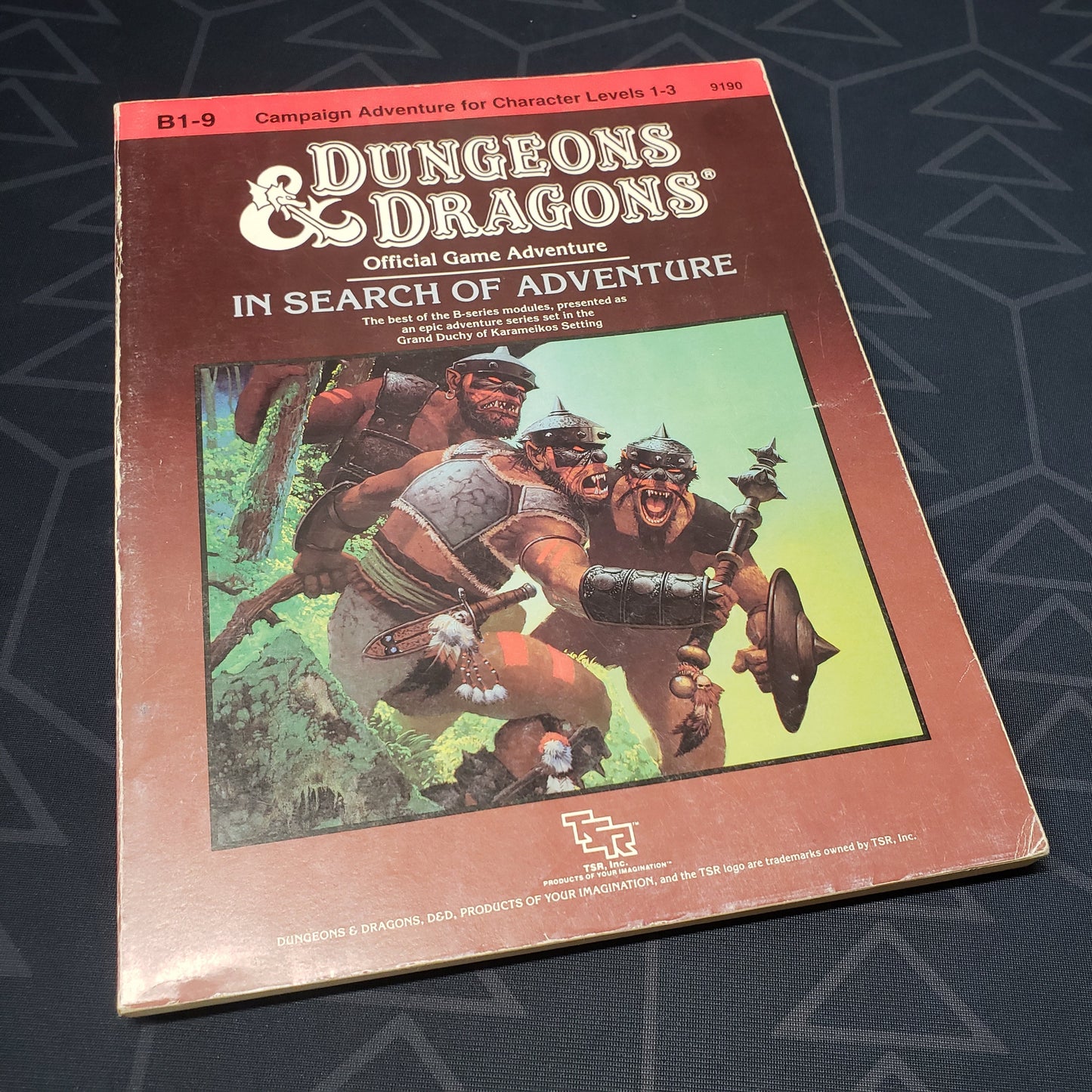 Image shows the front cover of the In Search of Adventure adventure module book for the roleplaying game Dungeons & Dragons: First Edition