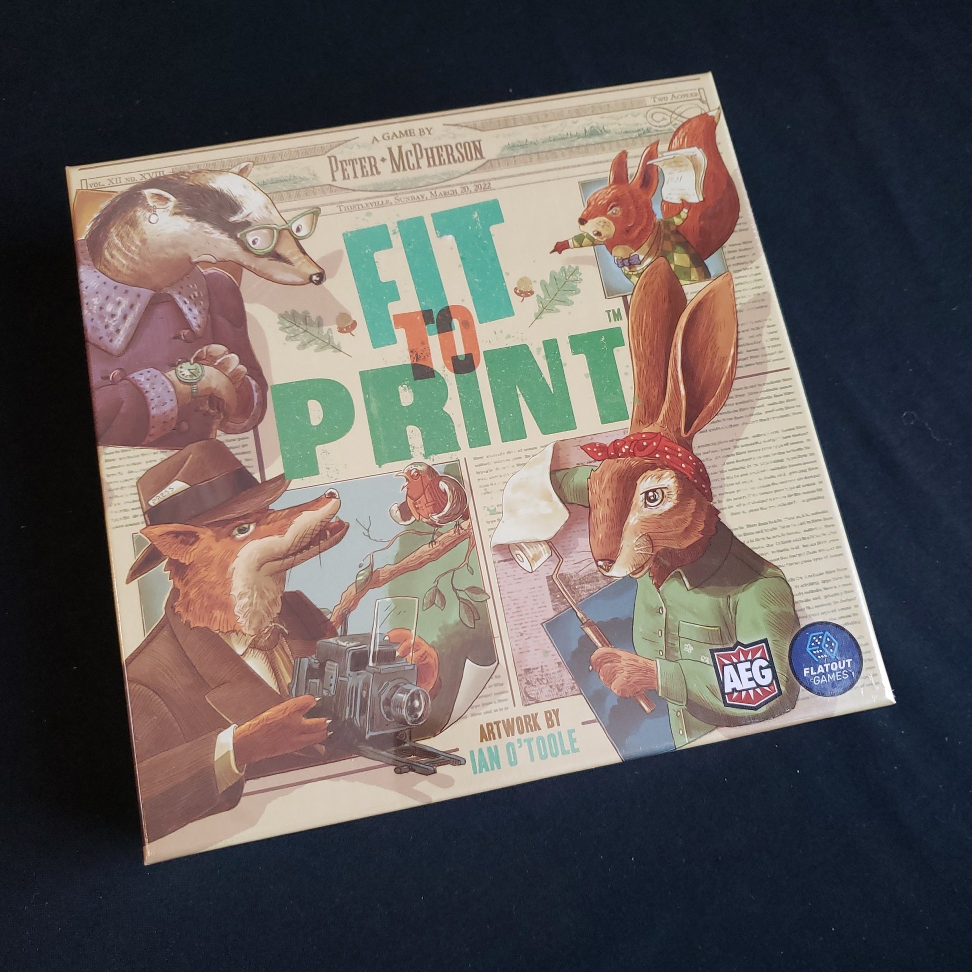Image shows the front cover of the box of the Fit to Print board game