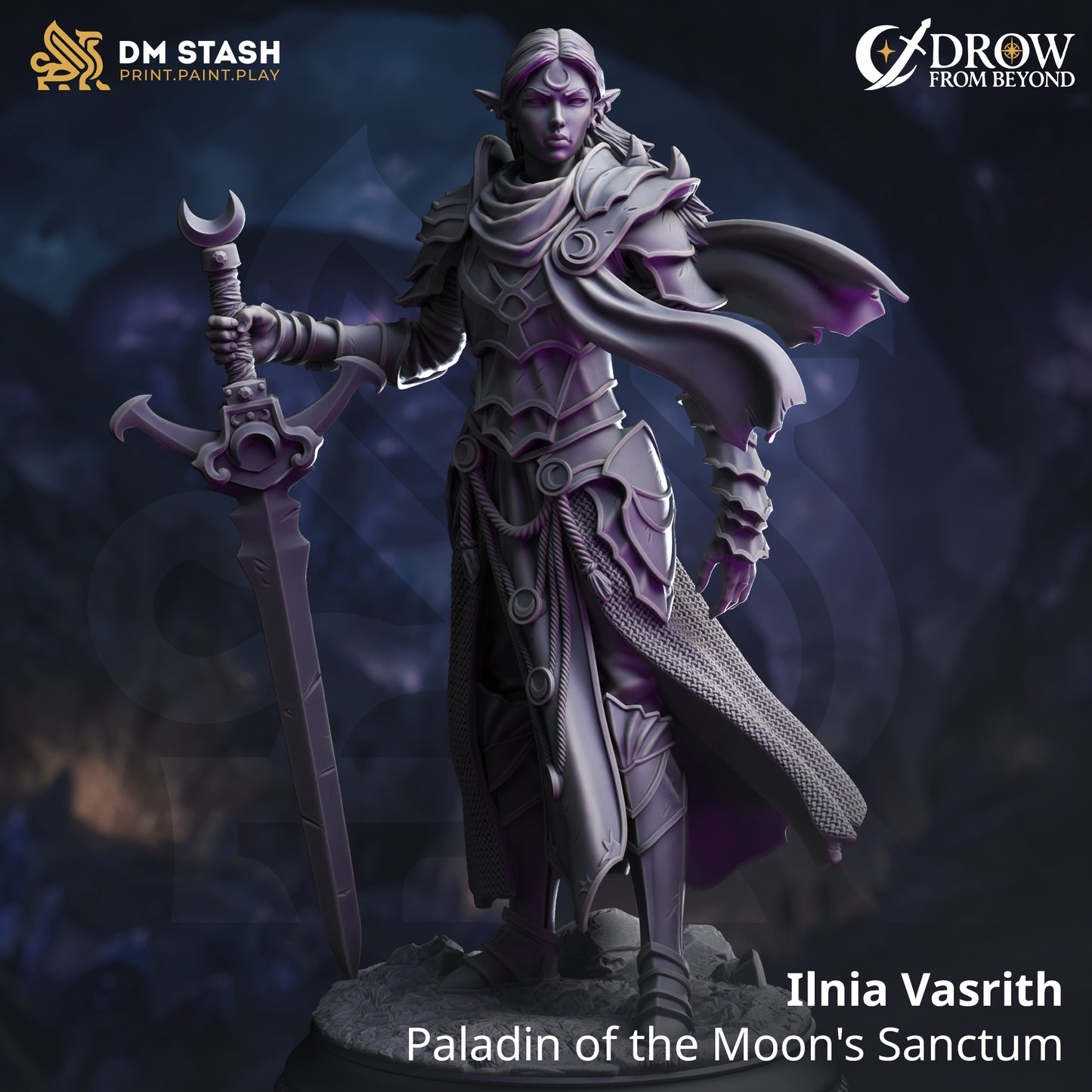 Image shows a 3D render of a drow paladin gaming miniature.