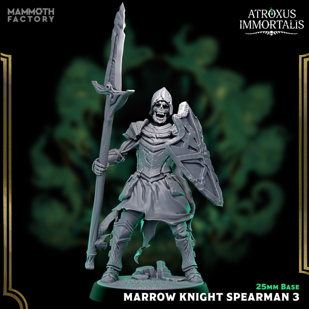 Image shows a 3D render of a skeleton warrior gaming miniature holding a spear