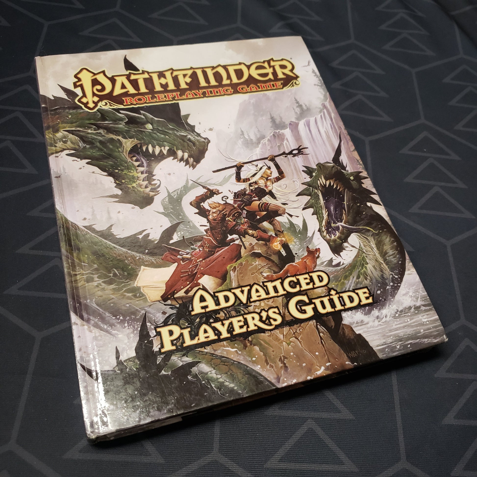 Image shows the front cover of the Advanced Player's Guide book for the Pathfinder 1E roleplaying game