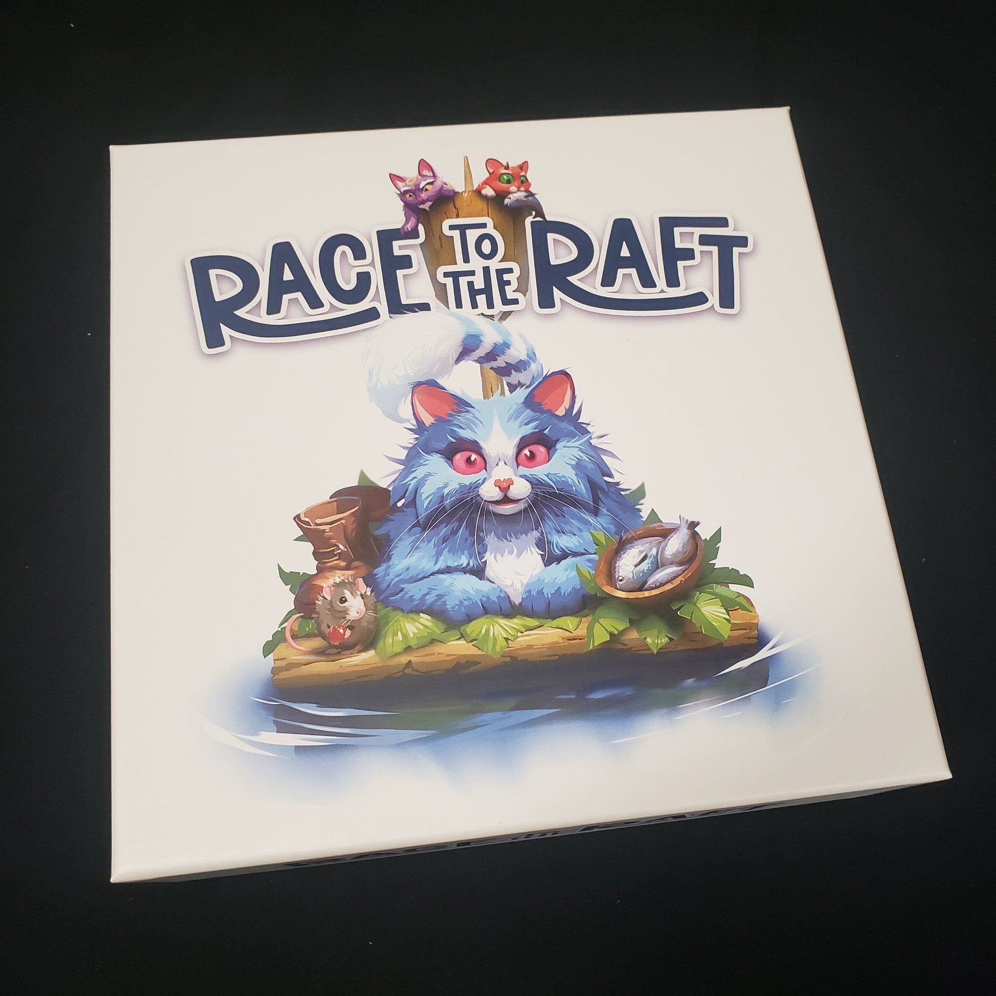 Image shows the front cover of the box of the Race To The Raft board game