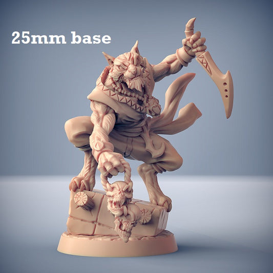 Image shows a 3D render of a tabaxi warrior gaming miniature.