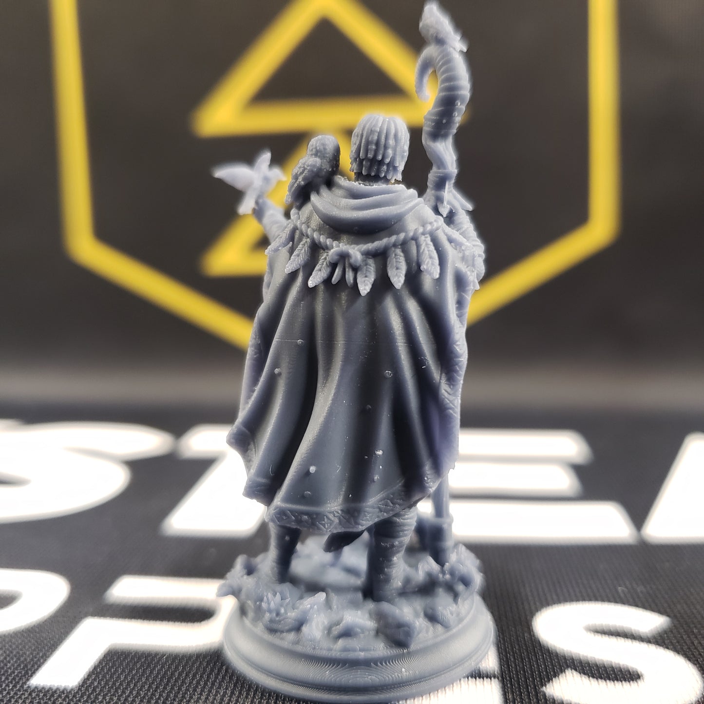 Gwambari, Animal Friend Shaman (Male Human Beastmaster)