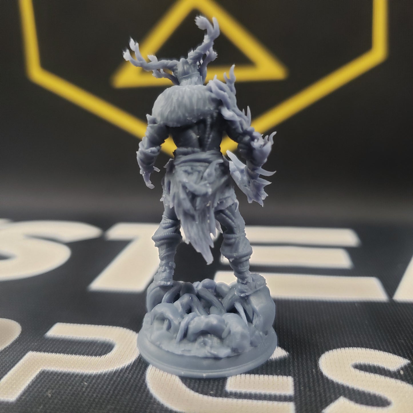 Treneal, the Resilient (Male Human Druid)