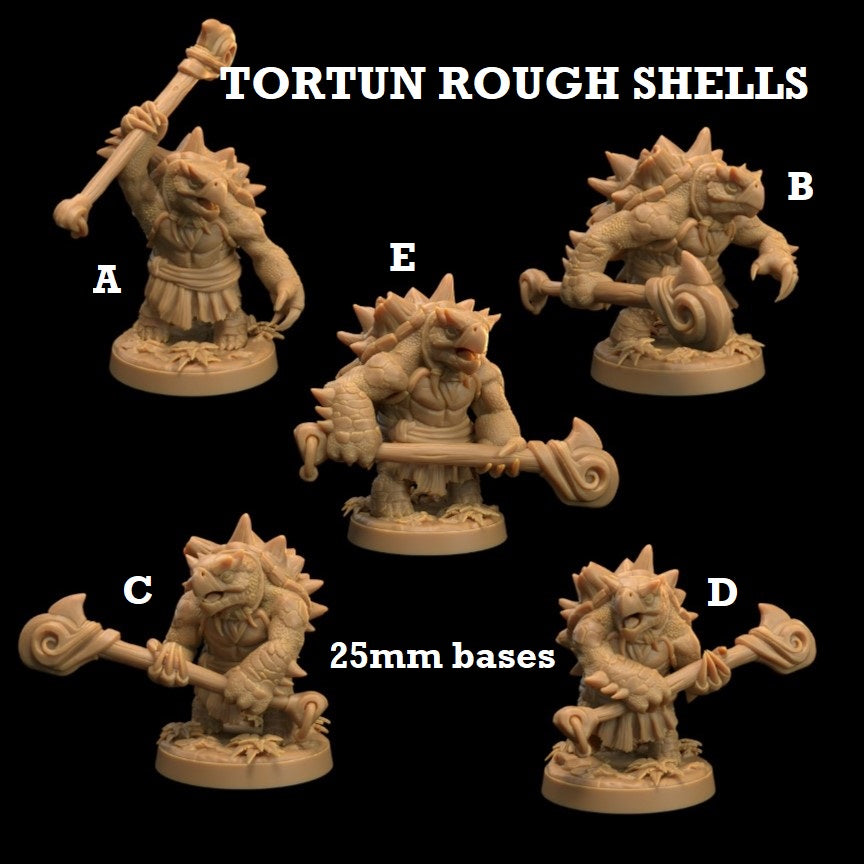 Image shows 3D renders for five different sculpt options of a turtlefolk warrior gaming miniature