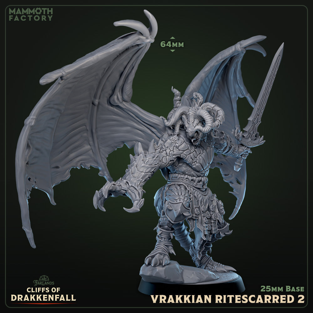 Image shows a 3D render of a winged dragonborn fighter gaming miniature.