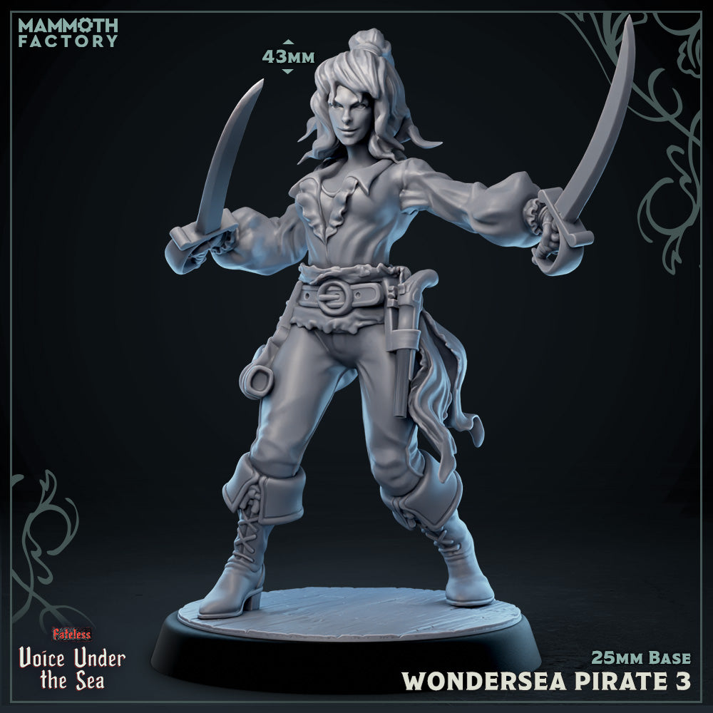 Image shows a 3D render of a human pirate gaming miniature.