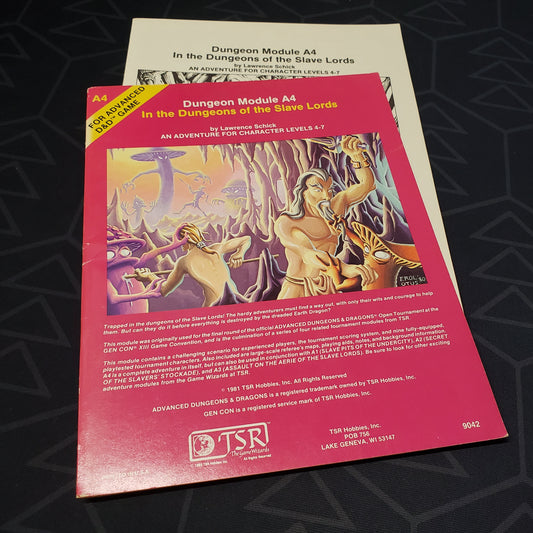Image shows the front cover of the folio for the In the Dungeons of the Slave Lords adventure module for the roleplaying game Advanced Dungeons & Dragons: First Edition, with the booklet fanned out