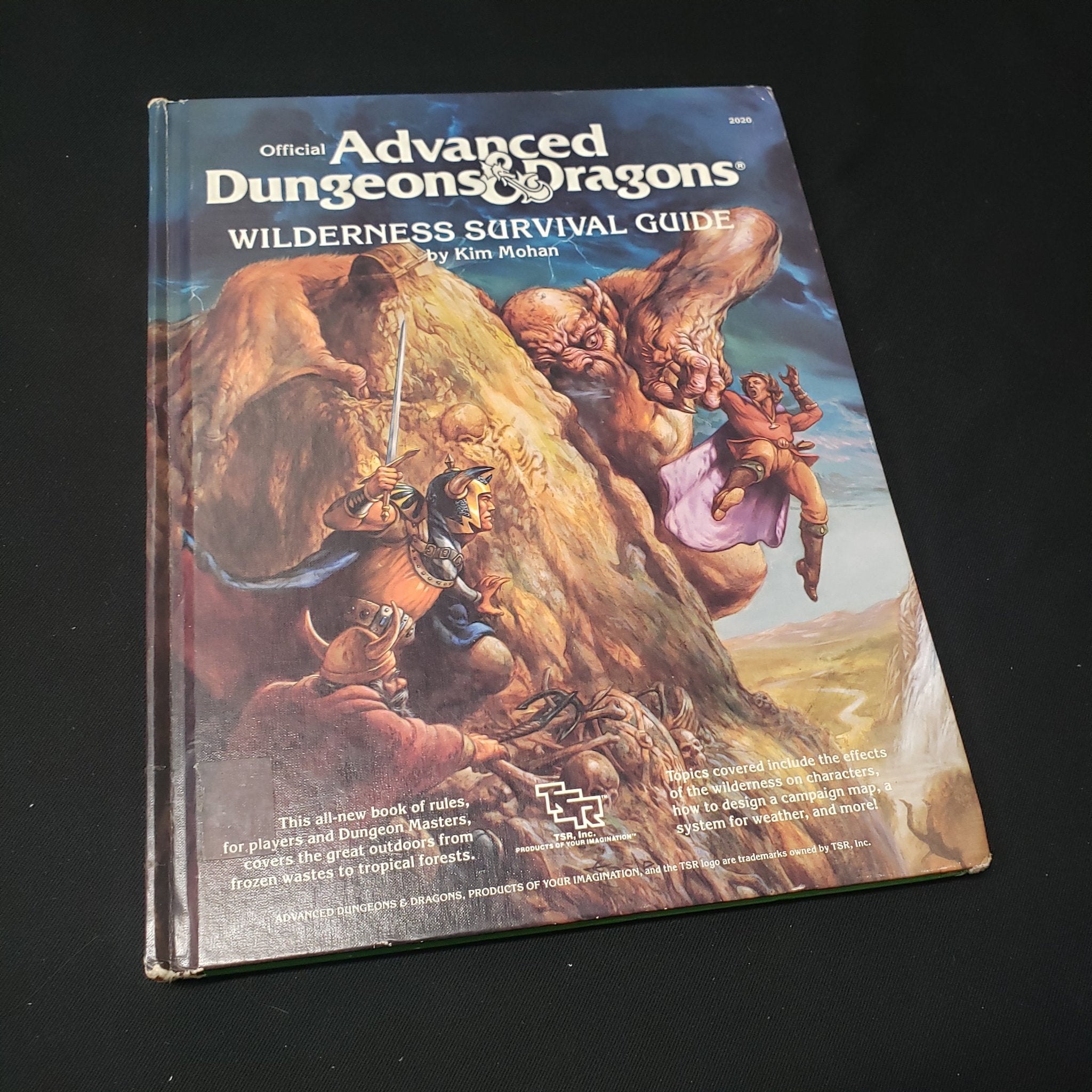 Dungeons and Dragons first edition Wilderness selling Survival Guide.