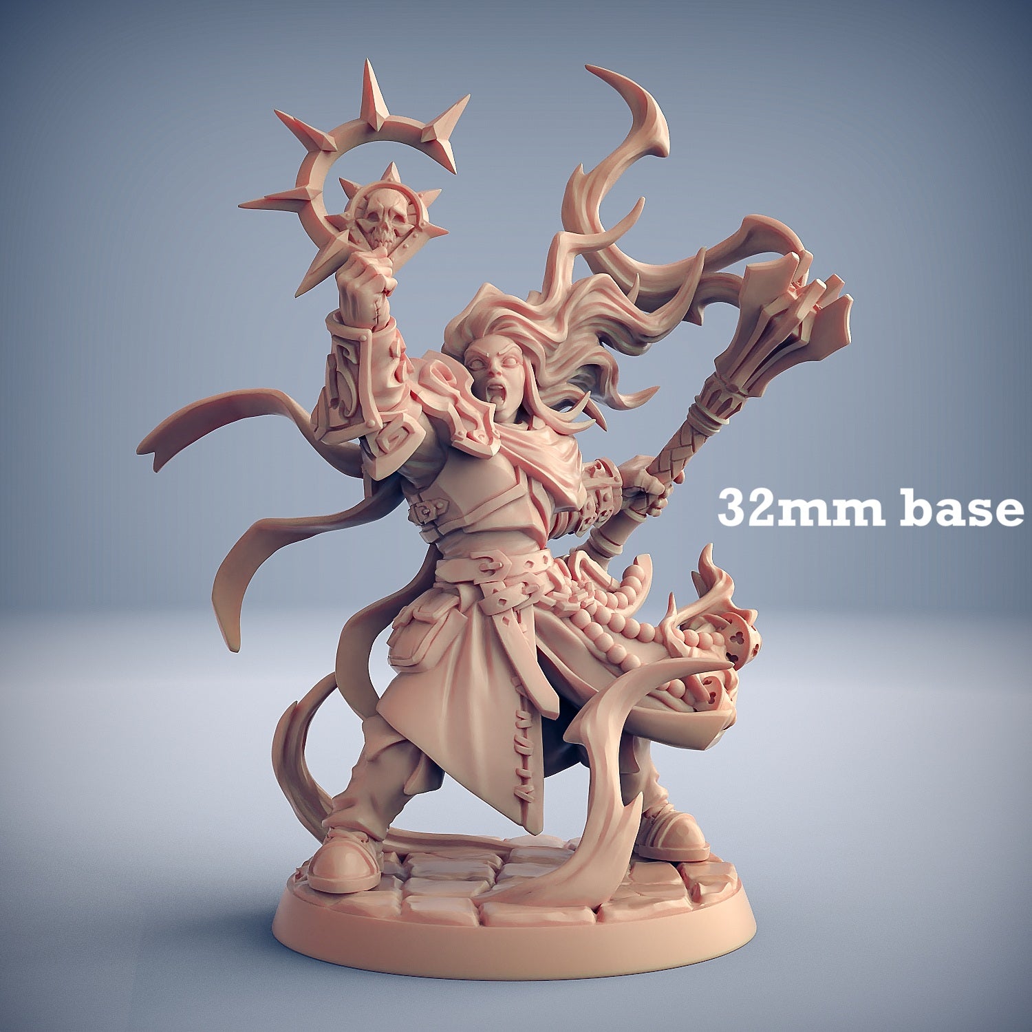 Image shows a 3D render of a human paladin gaming miniature.