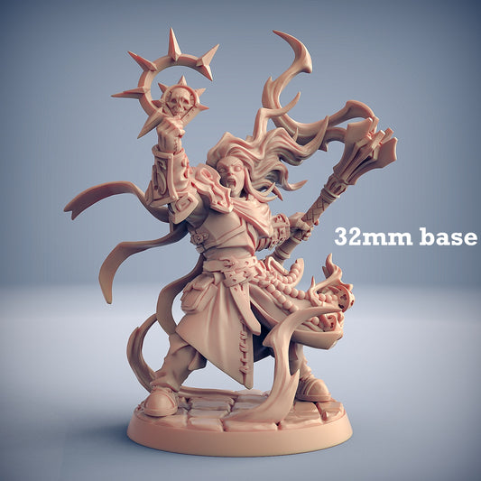 Image shows a 3D render of a human paladin gaming miniature.