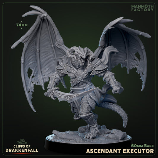 Image shows a 3D render of a winged dragonborn commander gaming miniature.