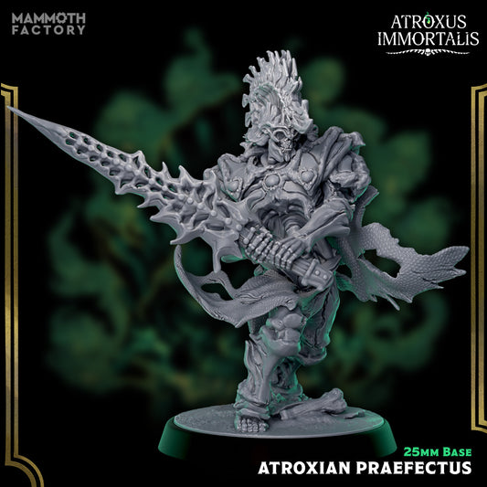 Image shows a 3D render of a skeleton warrior gaming miniature.