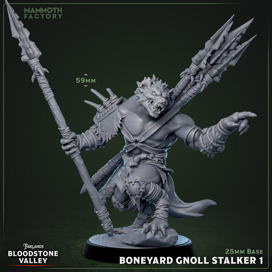 Image shows a 3D render of a gnoll warrior gaming miniature.