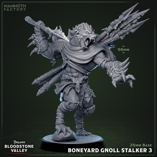 Image shows a 3D render of a gnoll warrior gaming miniature.