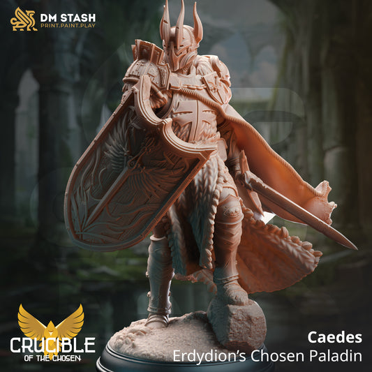 Image shows an 3D render of a paladin knight gaming miniature, wielding a sword and large shield and wearing a large multi-horned helmet