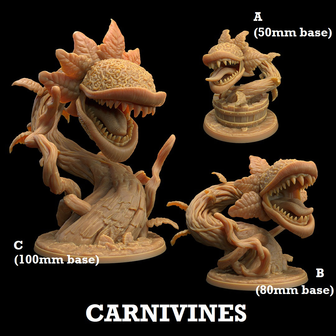 Image shows 3D renders for three different size & sculpt options of a venus fly trap monster gaming miniature