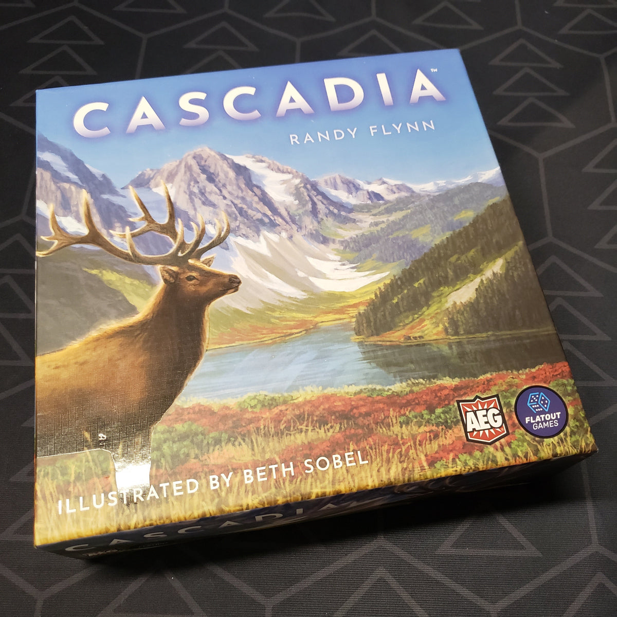 Cascadia All Systems Go Games cascadia-all-systems-go-games