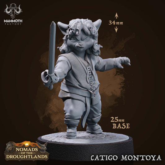 Image shows a 3D render of a tabaxi duelist gaming miniature.