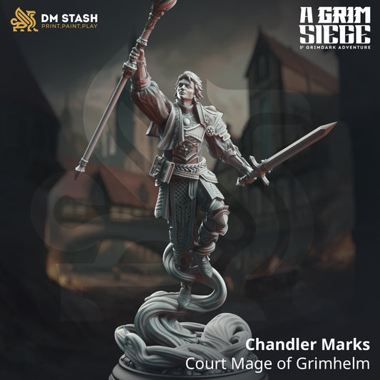 Image shows a 3D render of a human wizard gaming miniature.