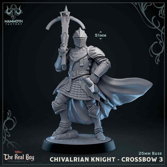 Image shows a 3D render of an medieval knight with a crossbow gaming miniature