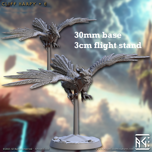 Image shows 3D renders of two sculpt options for a harpy gaming miniature.