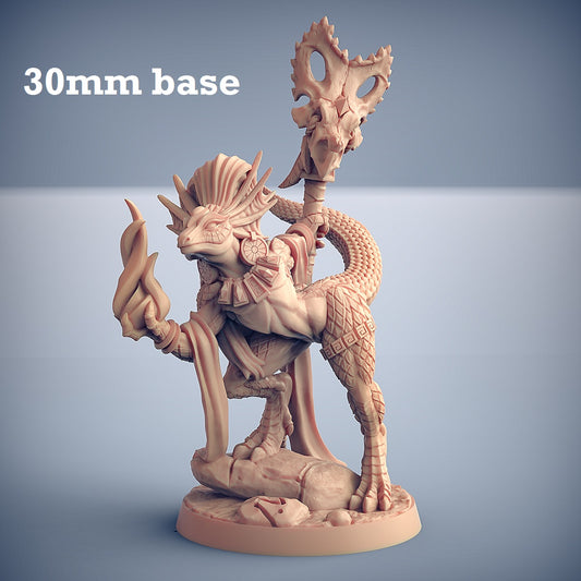 Image shows a 3D render of a lizardfolk noble gaming miniature.