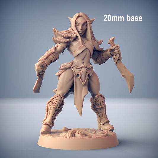 Image shows an 3D render of an elf rogue gaming miniature holding two daggers