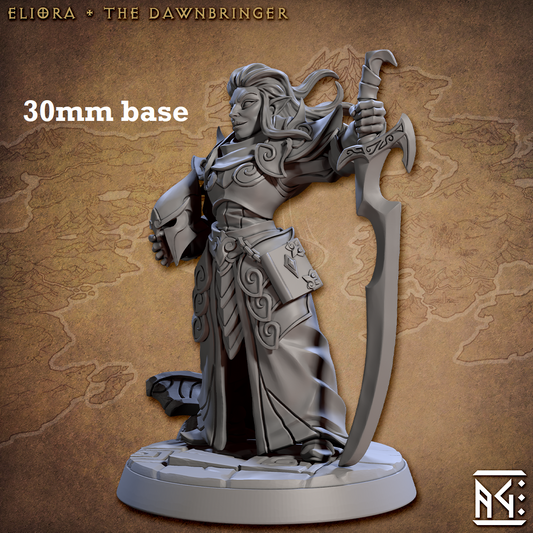 Image shows a 3D render of a high elf paladin gaming miniature