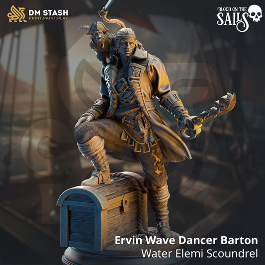Image shows a 3D render of a half-elf pirate rogue gaming miniature with a monkey on his shoulder