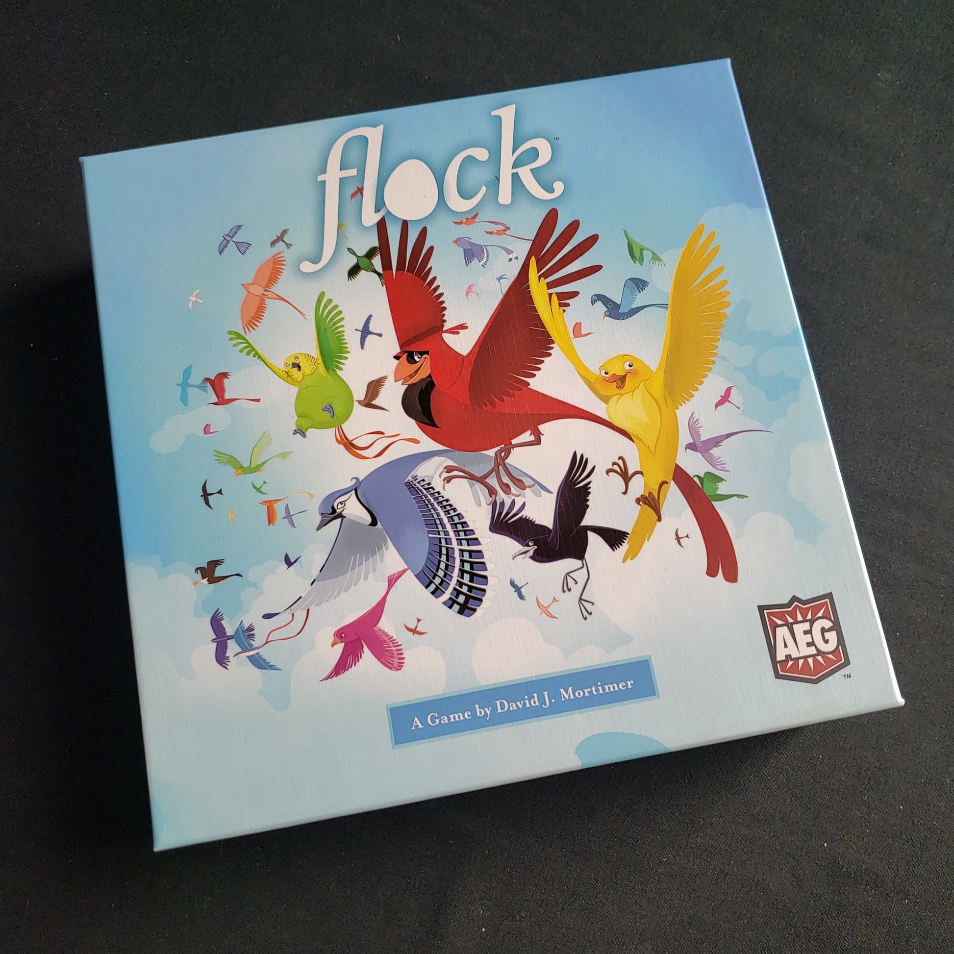 Image shows the front cover of the box of the Flock board game