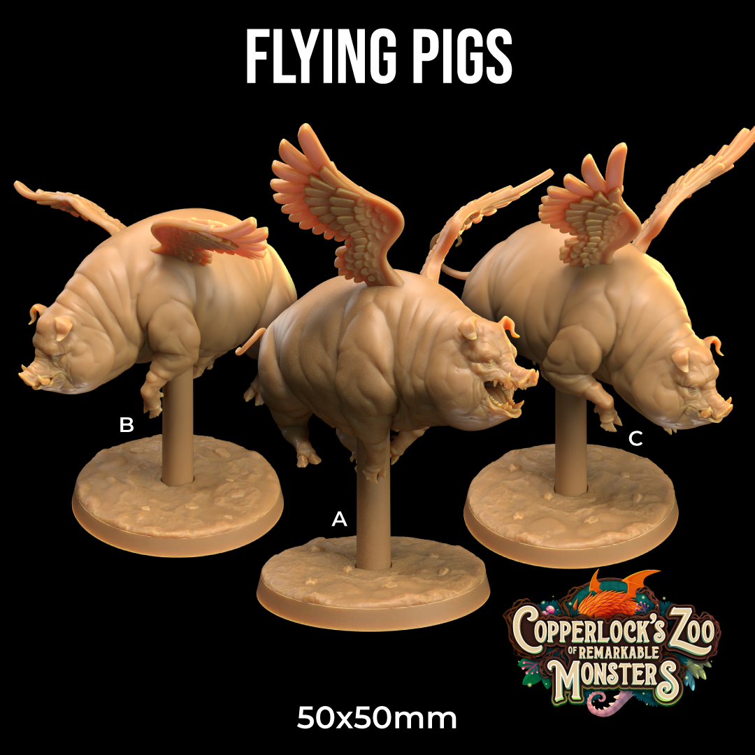 Image shows 3D renders of three different sculpt options for a flying pig gaming miniature