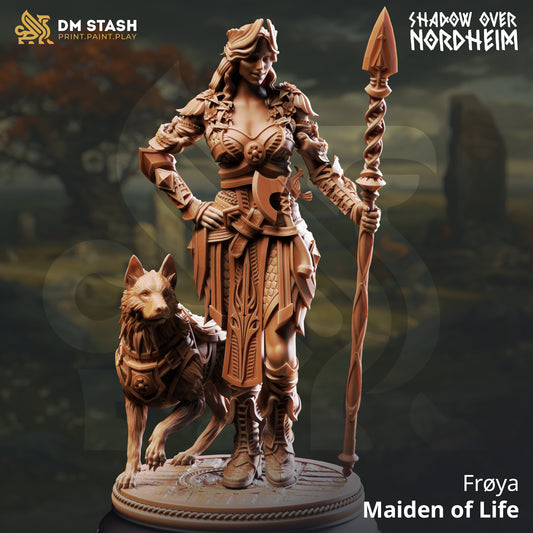 Image shows a 3D render of a human paladin gaming miniature.