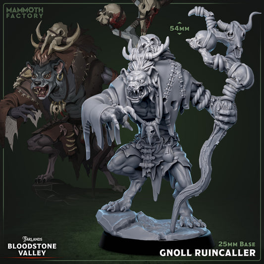 Image shows a 3D render of a gnoll shaman gaming miniature.