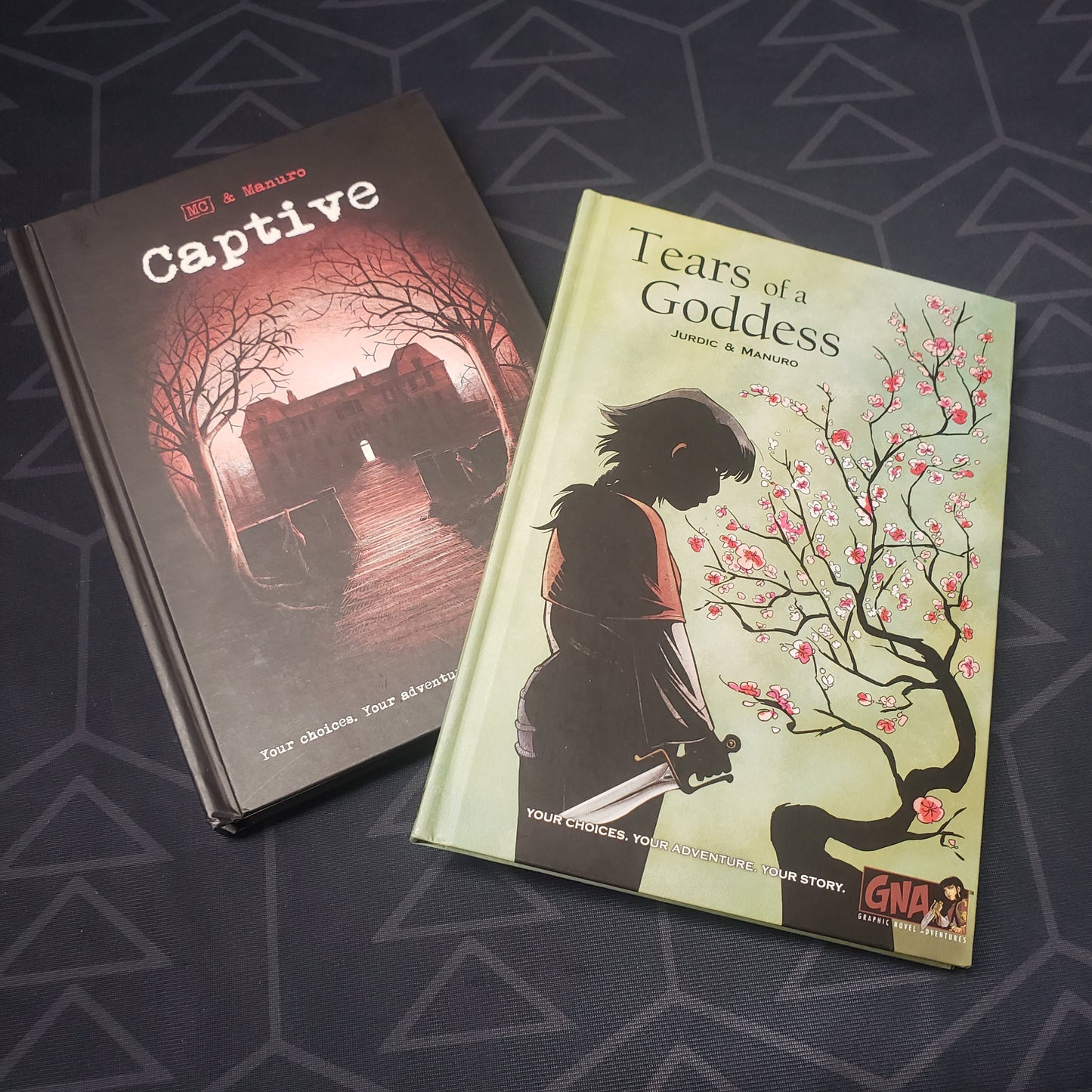 Image shows the covers of two of the books in the Graphic Novel Adventures: Season 1 gaming book box set