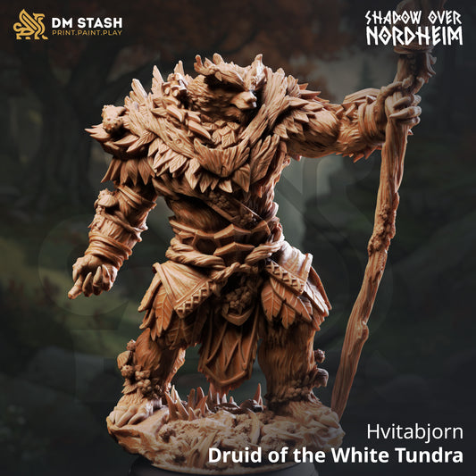 Image shows a 3D render of a bearfolk druid gaming miniature.