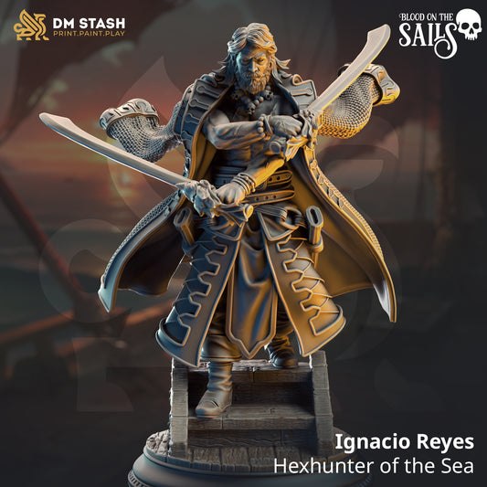 Image shows a 3D render of a human pirate duelist gaming miniature.