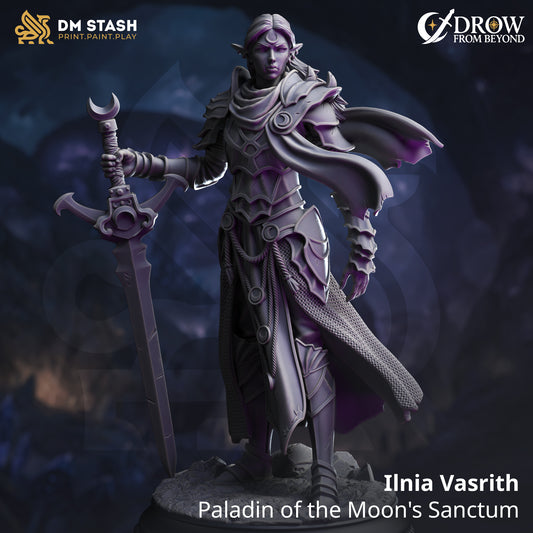 Image shows a 3D render of a drow paladin gaming miniature.