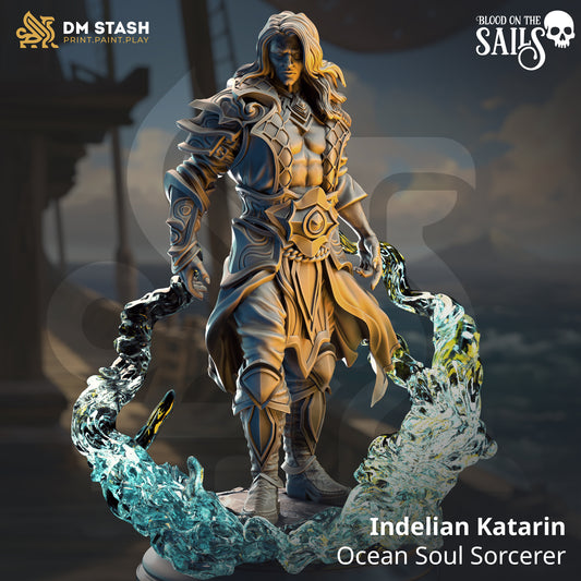 Image shows a 3D render of a elf sorcerer gaming miniature.