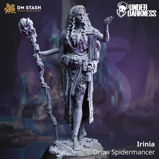 Image shows a 3D render of a drow beastmaster gaming miniature.