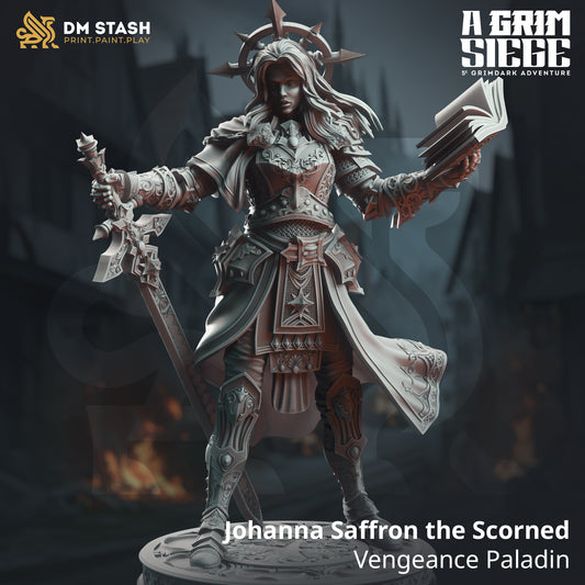 Image shows a 3D render of a human paladin gaming miniature.