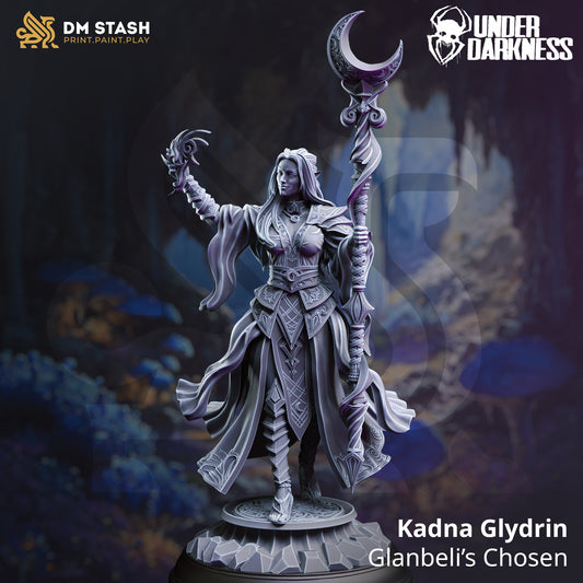 Image shows a 3D render of a drow cleric gaming miniature.