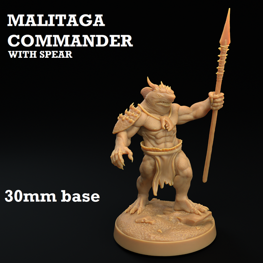 Image shows a 3D render of a sharkfolk warrior gaming miniature with a spear