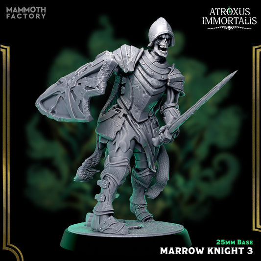 Image shows a 3D render of a skeleton swordsman gaming miniature.